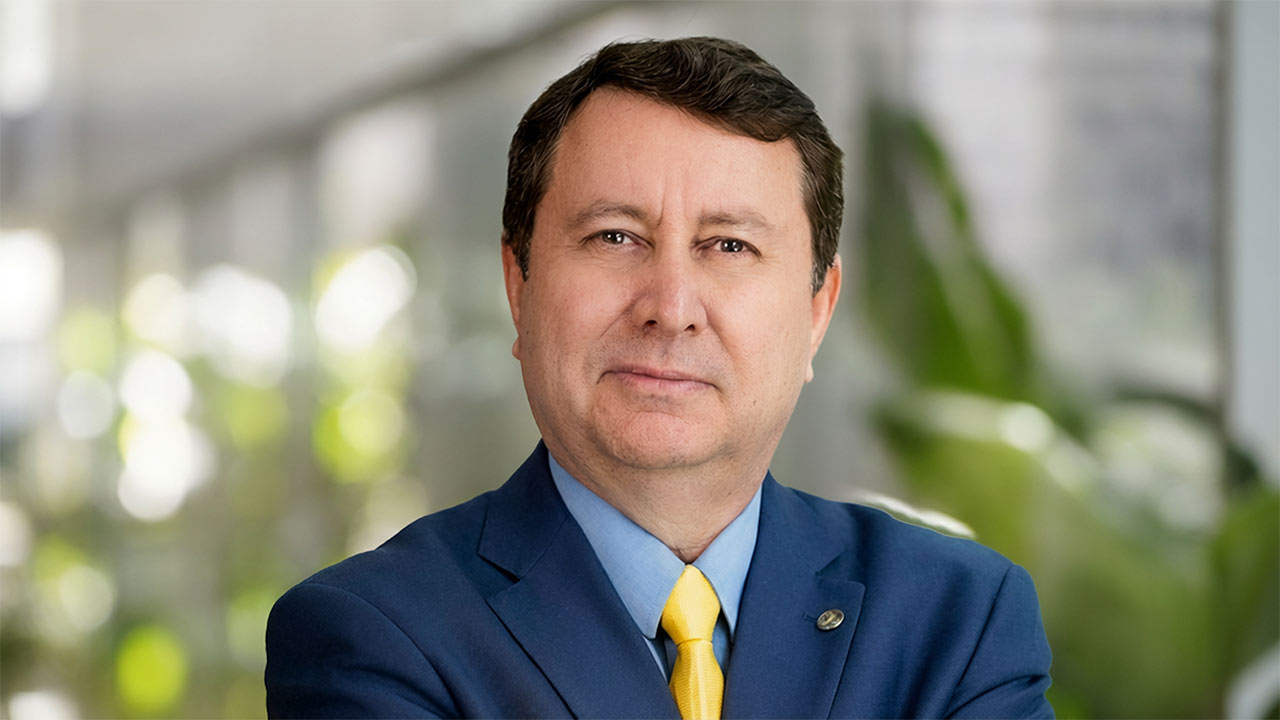 David Soares Bild