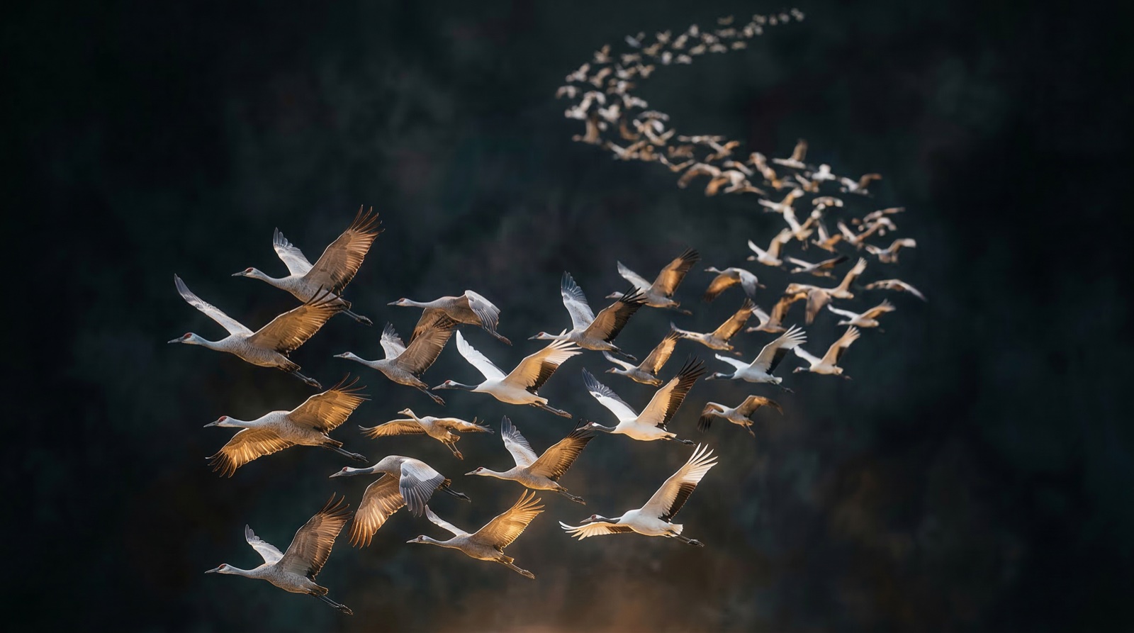 Page header